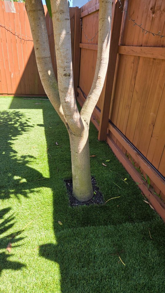 20251117_092211.jpg 20251117_092211.jpg