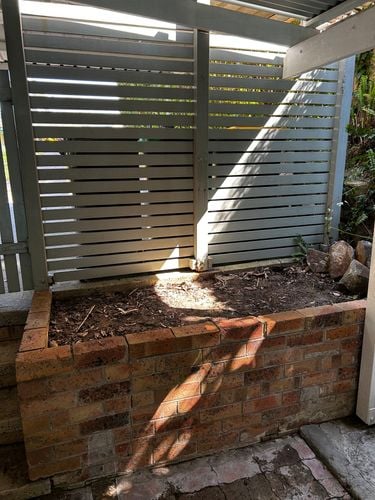 IMG_5384.jpeg IMG_5384.jpeg