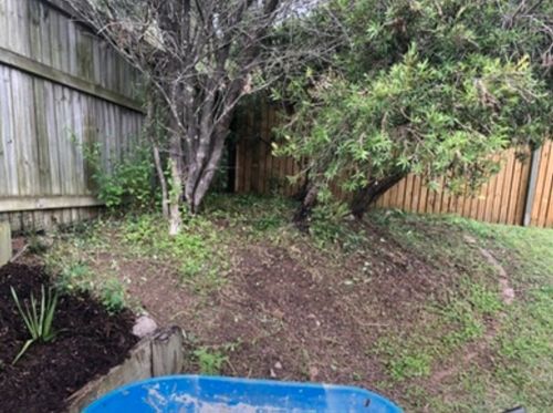 newbefore.jpeg newbefore.jpeg