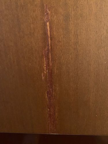 IMG_5551.jpg IMG_5551.jpg