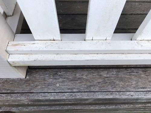 IMG_9825.jpg IMG_9825.jpg