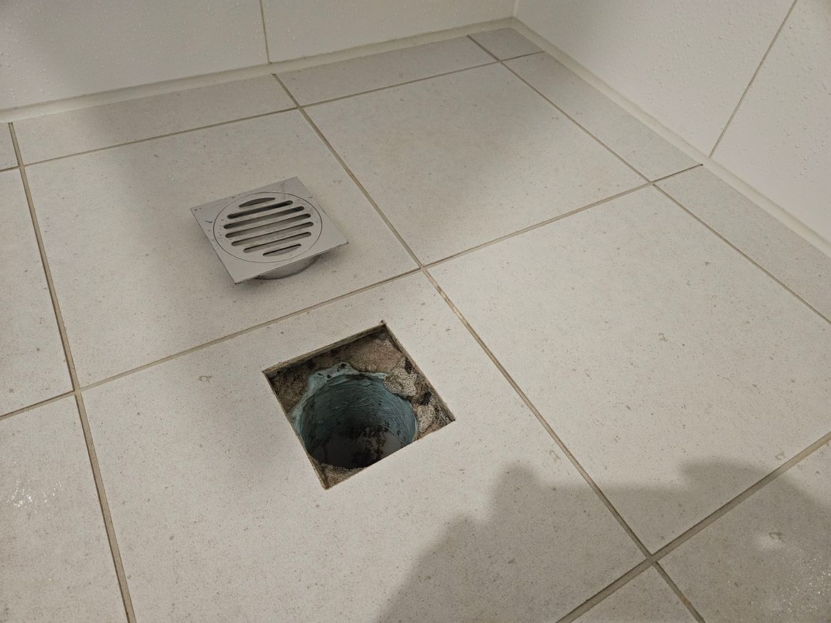 20241105_174322.jpg 20241105_174322.jpg