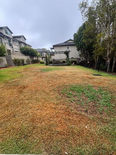 IMG_5196.jpeg IMG_5196.jpeg