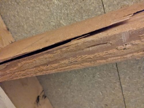 1000006512.jpg 1000006512.jpg