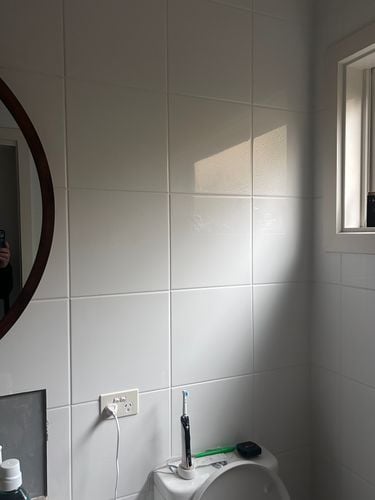 IMG_4477.jpeg IMG_4477.jpeg