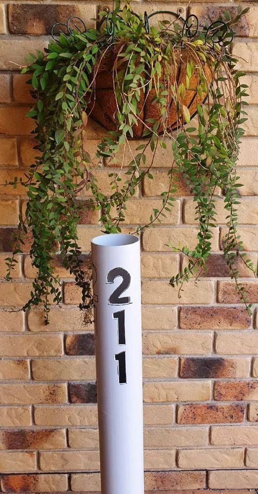 cut-out-finished.jpg cut-out-finished.jpg