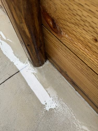 IMG_0507.jpeg IMG_0507.jpeg