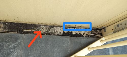 1000121547.jpg 1000121547.jpg