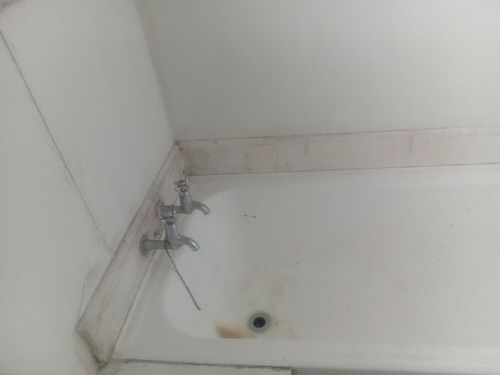 IMG_20240323_142655.jpg IMG_20240323_142655.jpg