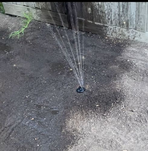 IMG_4100.jpeg IMG_4100.jpeg