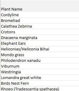 Plants.jpg Plants.jpg