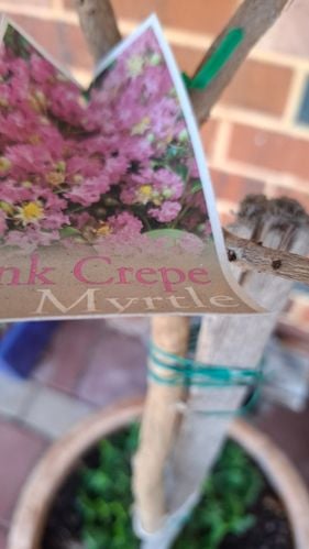 20251209_165330.jpg 20251209_165330.jpg