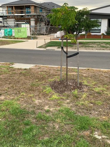 IMG_1513.jpeg IMG_1513.jpeg