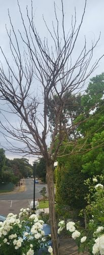 1000015307.jpg 1000015307.jpg