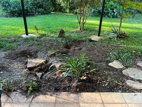 IMG_7707.jpeg IMG_7707.jpeg