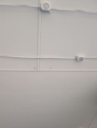 1000011069.jpg 1000011069.jpg