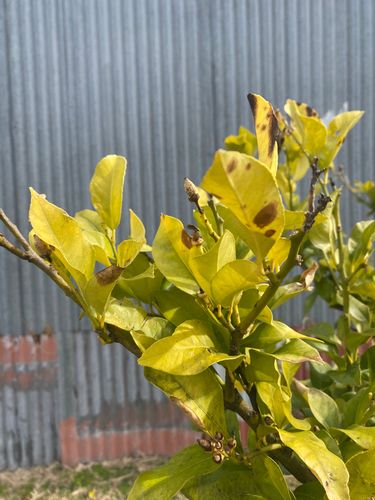 IMG_3374.jpeg IMG_3374.jpeg