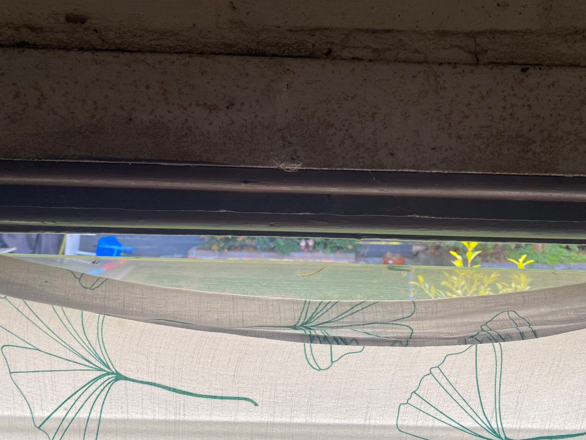 IMG_3685.jpg IMG_3685.jpg