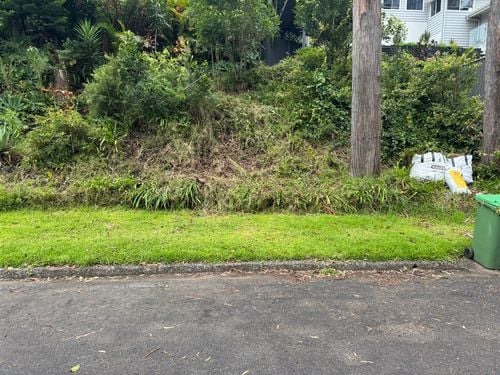 IMG_4330 Large.jpeg IMG_4330 Large.jpeg