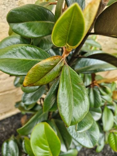 20251106_094412.jpg 20251106_094412.jpg