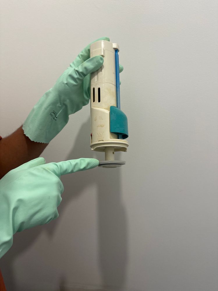 IMG_763BE928-9371-4F67-8B4E-D24ABA7F1089.jpeg IMG_763BE928-9371-4F67-8B4E-D24ABA7F1089.jpeg