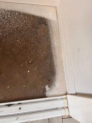 IMG_9864.jpeg IMG_9864.jpeg