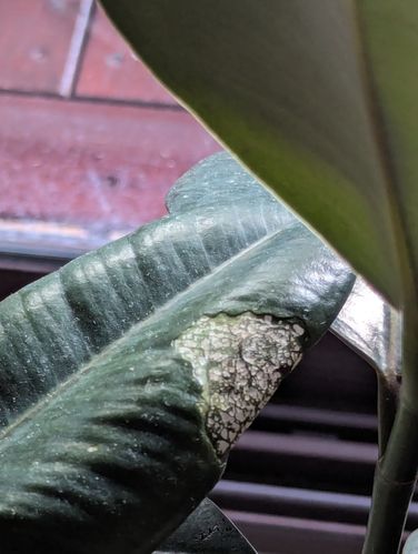 1000040782.jpg 1000040782.jpg