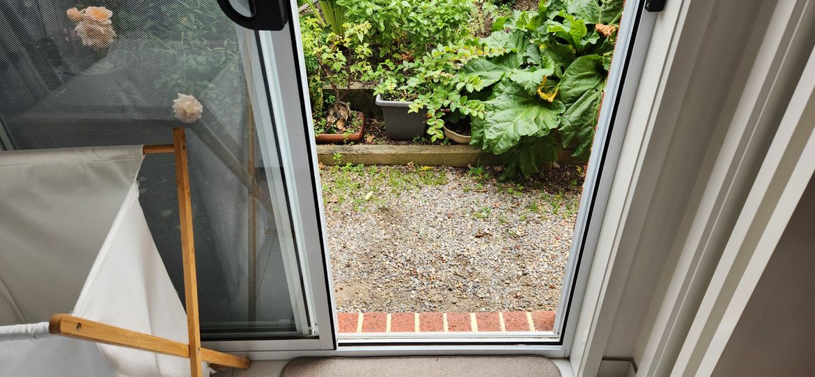 20230324_094055.jpg 20230324_094055.jpg