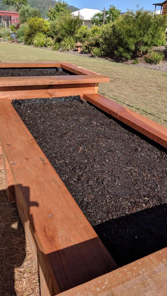 IMG_20190113_155529.jpg IMG_20190113_155529.jpg