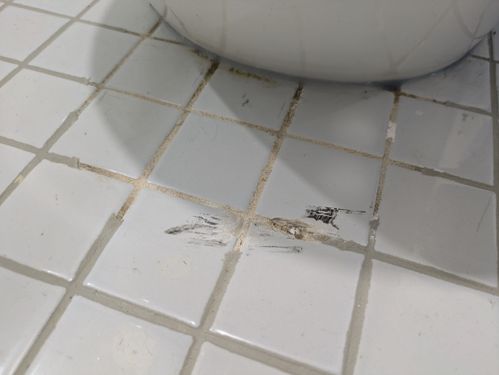 1000039525.jpg 1000039525.jpg