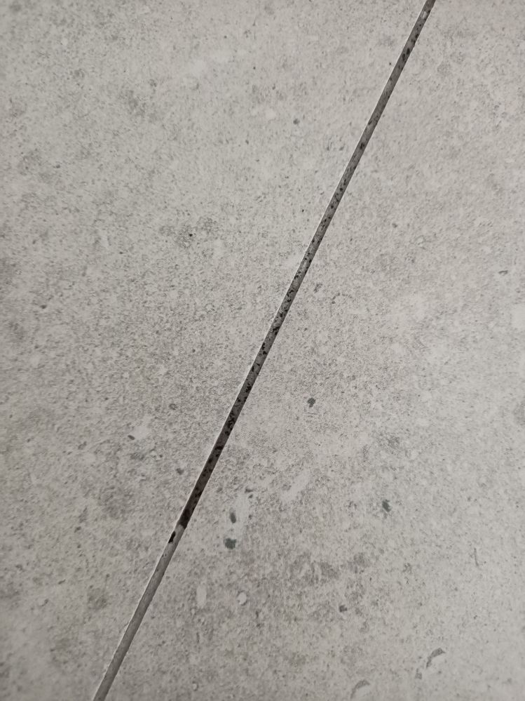 IMG20250331114909.jpg IMG20250331114909.jpg