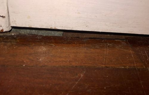 2C835F29-5364-42C9-8031-4797286BDEB0.jpeg 2C835F29-5364-42C9-8031-4797286BDEB0.jpeg