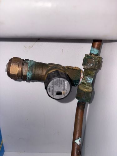 IMG_5897.jpeg IMG_5897.jpeg