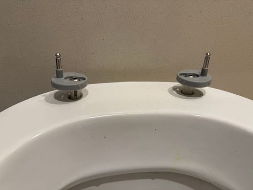 IMG_0498.jpeg IMG_0498.jpeg