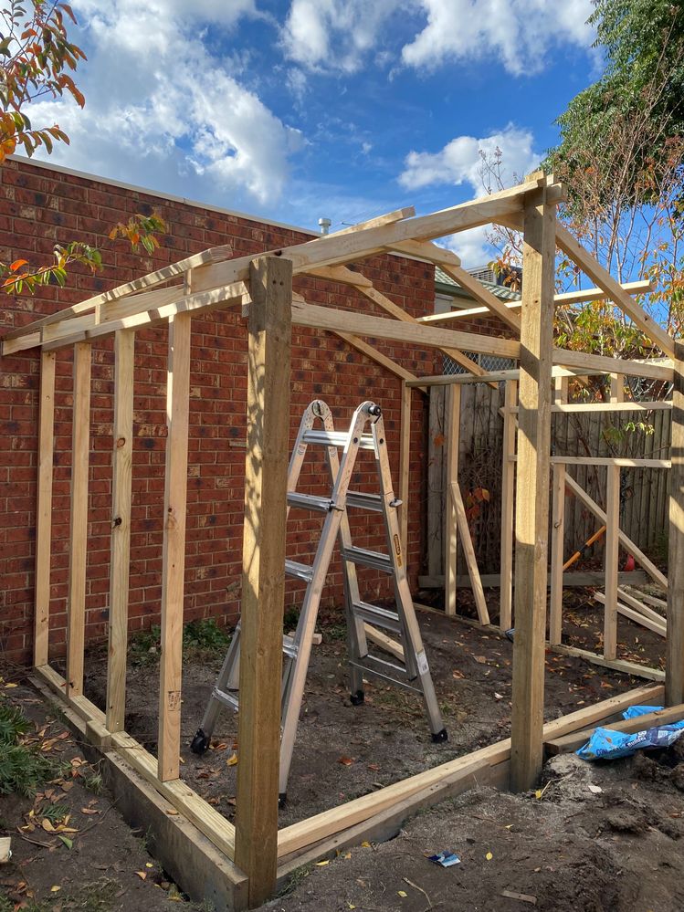 IMG-9802 (2).jpg IMG-9802 (2).jpg