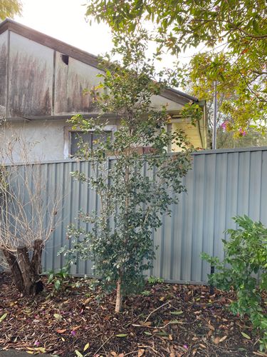 IMG_8059.jpeg IMG_8059.jpeg