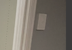 Sugar_8-1747917774045.png Sugar_8-1747917774045.png