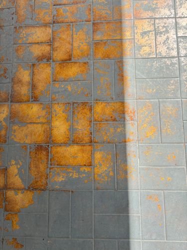 IMG_5439.jpeg IMG_5439.jpeg