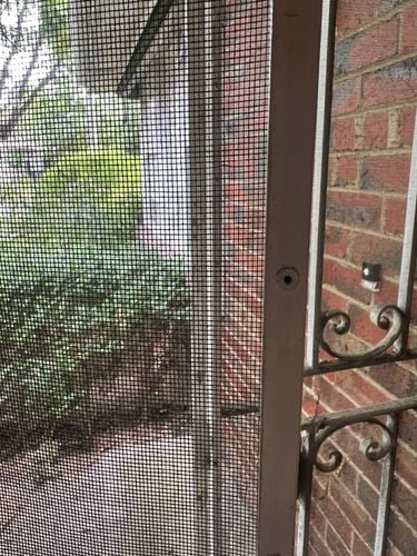 IMG_5370.jpeg IMG_5370.jpeg