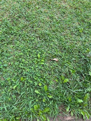 31E076D7-F5DC-4A05-8A9B-E4A935164D77.jpeg 31E076D7-F5DC-4A05-8A9B-E4A935164D77.jpeg