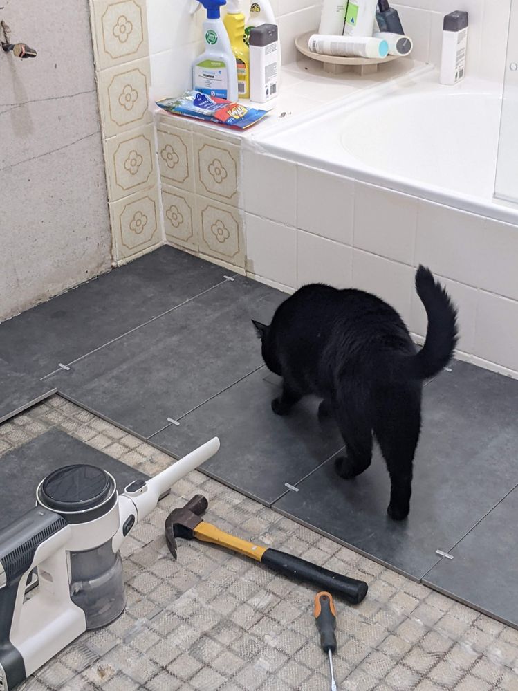 BEA69488-FDA6-4F20-B164-B8909BD36E35.jpeg BEA69488-FDA6-4F20-B164-B8909BD36E35.jpeg