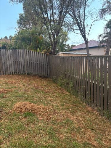 IMG_5504.jpeg IMG_5504.jpeg