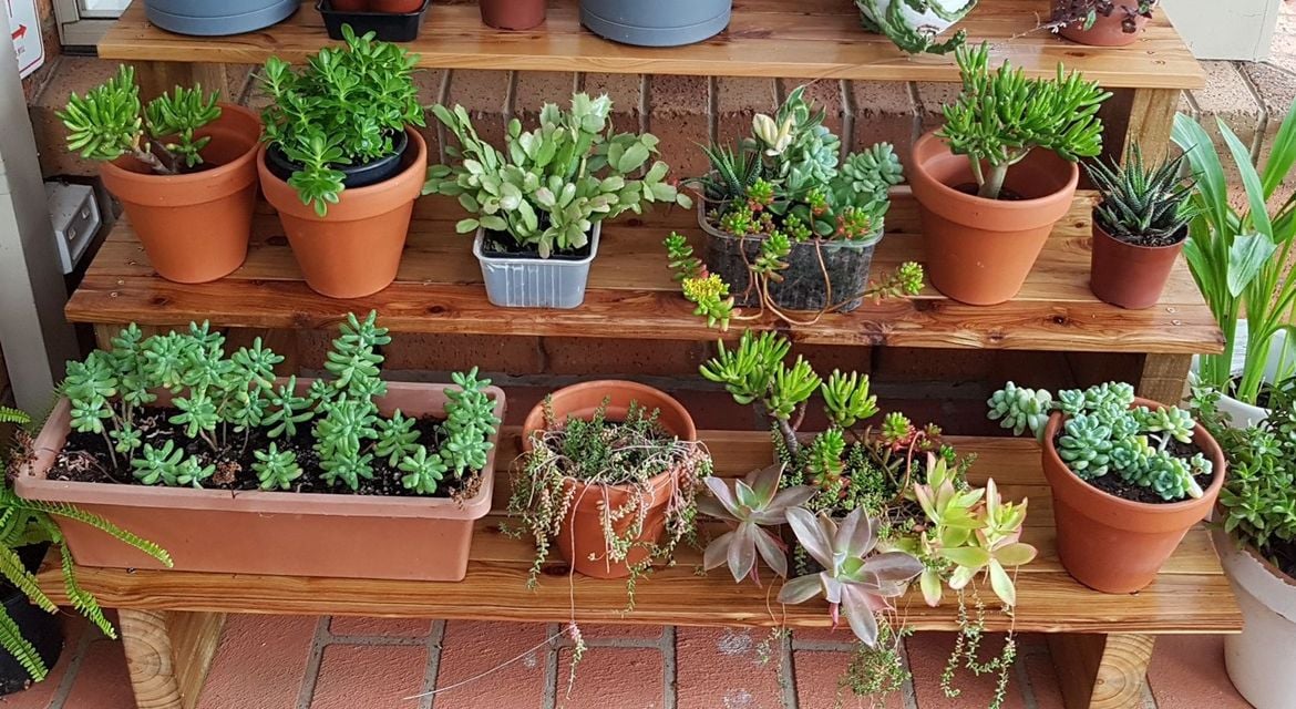 Tiered plant stand.jpg Tiered plant stand.jpg