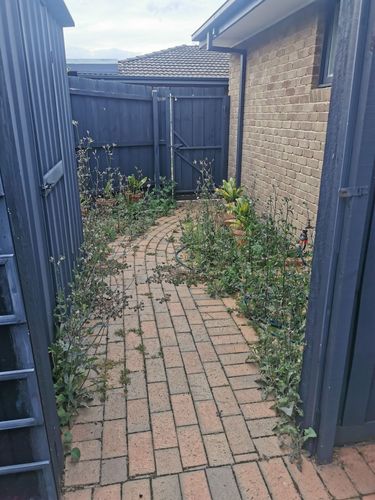 IMG_20230215_195101.jpg IMG_20230215_195101.jpg