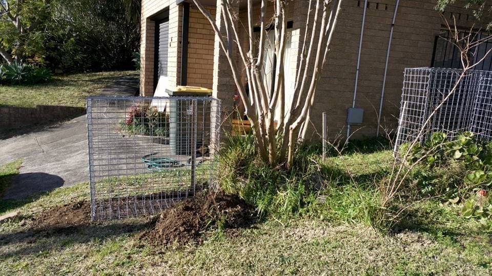 12-08-2017c.jpg 12-08-2017c.jpg