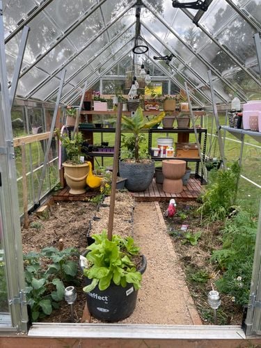 709417FC-9907-4EC7-AECC-E7BD7740A5FC.jpeg 709417FC-9907-4EC7-AECC-E7BD7740A5FC.jpeg