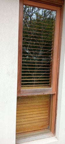 1000009788.jpg 1000009788.jpg