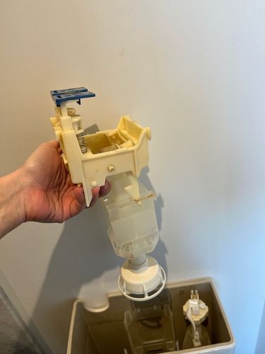 IMG_1720.jpeg IMG_1720.jpeg