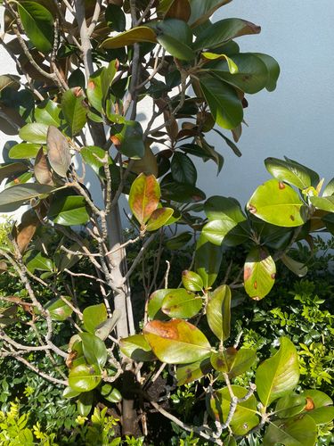 IMG_4207.jpeg IMG_4207.jpeg