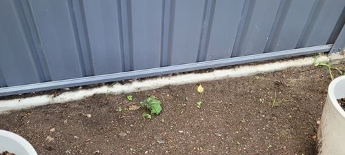 1000013232.jpg 1000013232.jpg